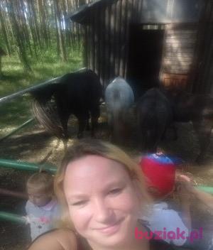 Wioleta, Kobieta, 38, Piotrków Trybunalski, Polska, Zdjęcie: 1