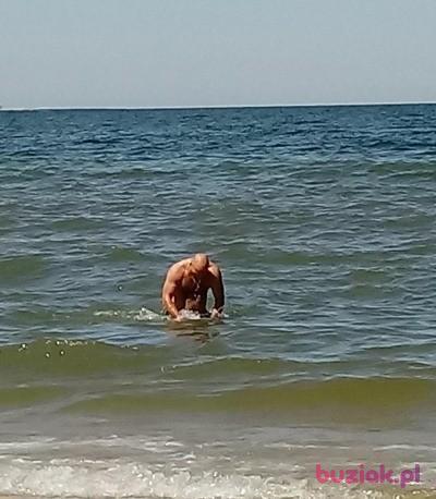 Andrzej, Male, 50, Haarlem, Holandia, Photo: 3