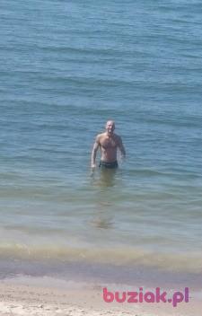 Borys, Mężczyzna, 47, Haarlem, Holandia, Zdjęcie: 7
