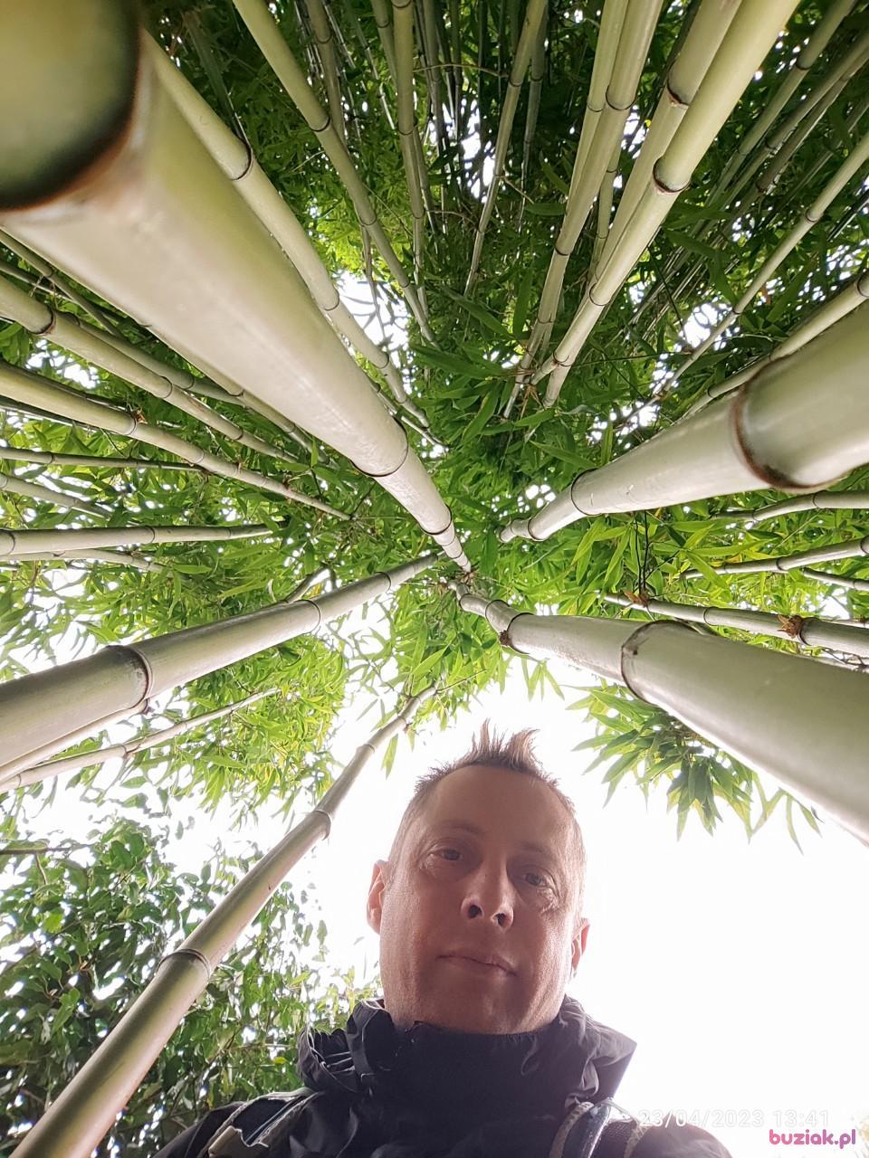 Tomek, Male, 45, Broxbourne, Wielka Brytania, Photo: 6