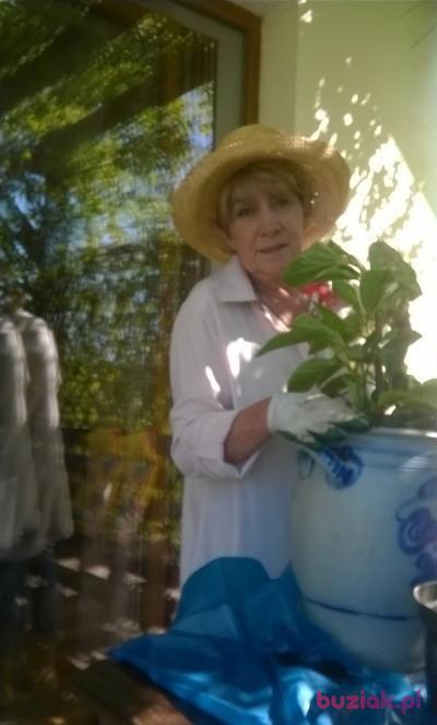 Beata, Female, 63, Kościerzyna, Polska, Photo: 2