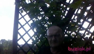 Robert, Mężczyzna, 60, Kudowa Zdrój, Polska, Zdjęcie: 1