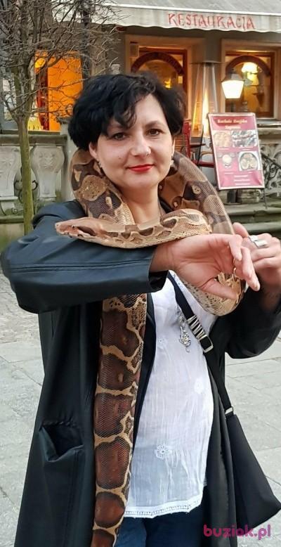wiolka, Female, 51, Poznań, Polska, Photo: 1