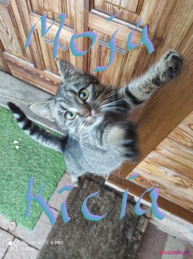 adam, Male, 58, Turek, Polska, Photo: 4