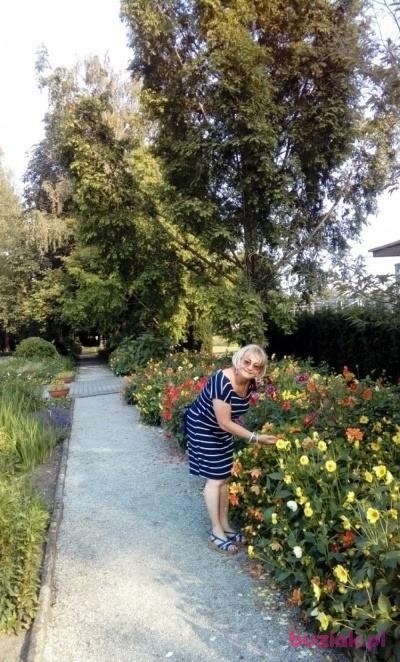 Elżbieta, Female, 64, Poznań, Polska, Photo: 3