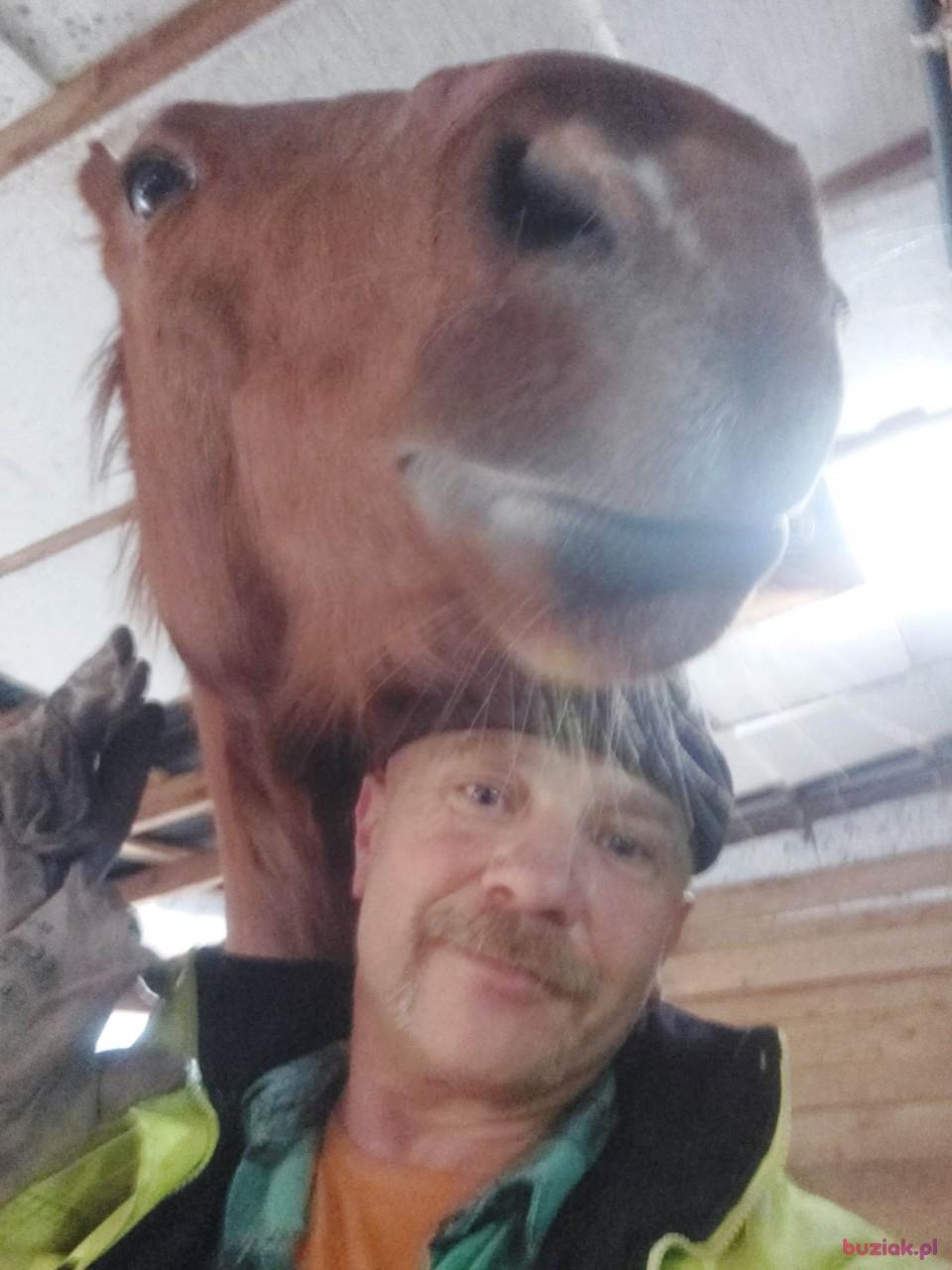 romek, Male, 54, Krzeszowice, Polska, Photo: 4