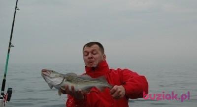 Jasko665, Mężczyzna, 56, Warszawa, Polska, Zdjęcie: 4