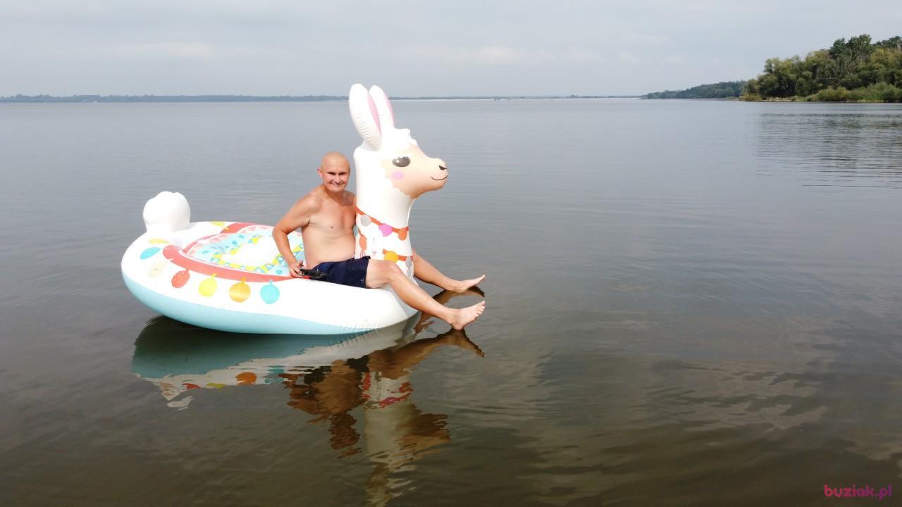 Michał, Mężczyzna, 37, Zgierz, Polska, Zdjęcie: 689