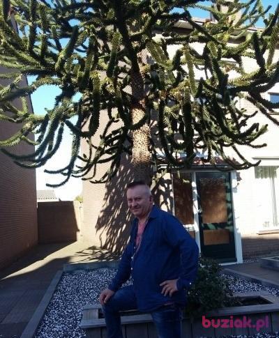 Arek, Male, 56, Nysa, Polska, Photo: 5