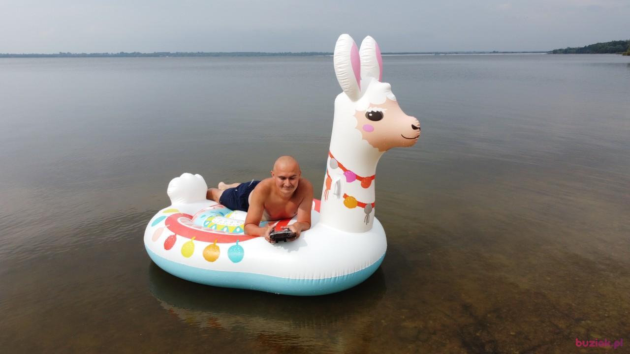 Michał, Mężczyzna, 37, Zgierz, Polska, Zdjęcie: 692