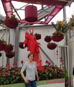 Gabriela, Kobieta, 45, Holandia, Zdjęcie: 2