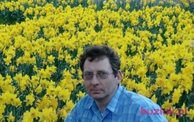 SAM600, Male, 65, Wielka Brytania, Photo: 10