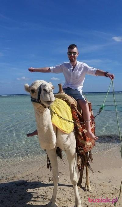 Przemysław, Mężczyzna, 33, Grodków, Polska, Zdjęcie: 7