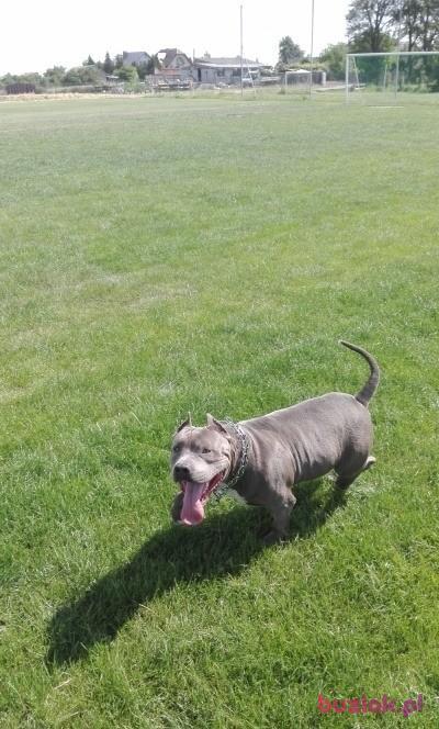 Mariusz , Male, 35, Polska, Photo: 6