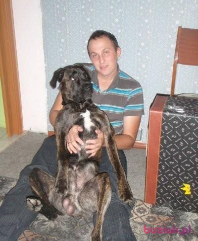 Daniel, Male, 39, Toruń, Polska, Photo: 3