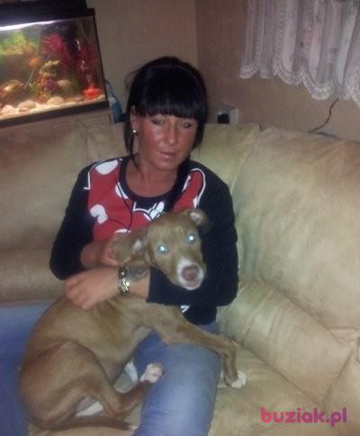 jtrojan, Kobieta, 42, Wielka Brytania, Zdjęcie: 2