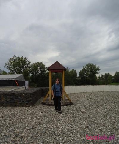 Tomasz, Male, 36, Gliwice, Polska, Photo: 2