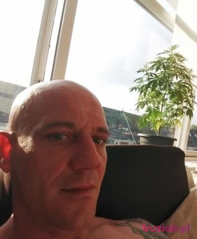 Łukasz, Mężczyzna, 43, Rotterdam, Holandia, Zdjęcie: 2