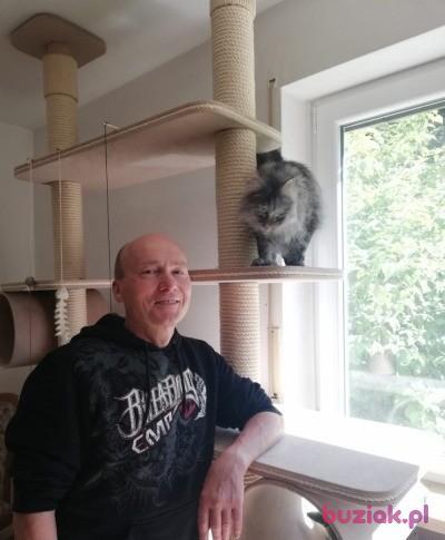 bogdan, Mężczyzna, 64, Ingolstadt, Niemcy, Zdjęcie: 14