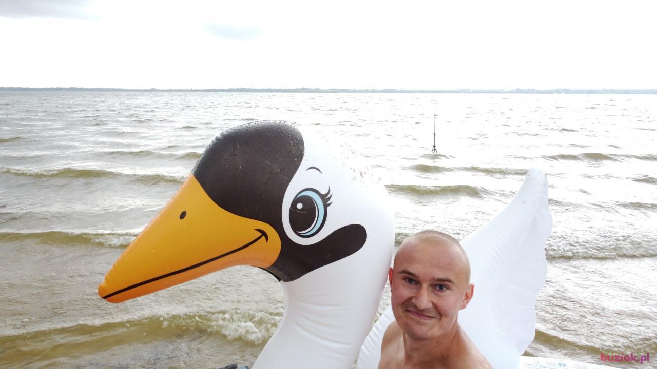 Michał, Mężczyzna, 37, Zgierz, Polska, Zdjęcie: 529