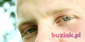adamlux4, Mężczyzna, 40, Wrocław, Polska, Zdjęcie: 4