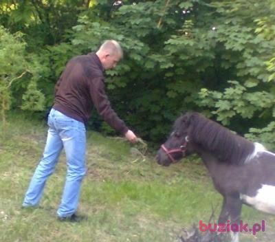damian, Male, 38, Dąbrowa Górnicza, Polska, Photo: 4