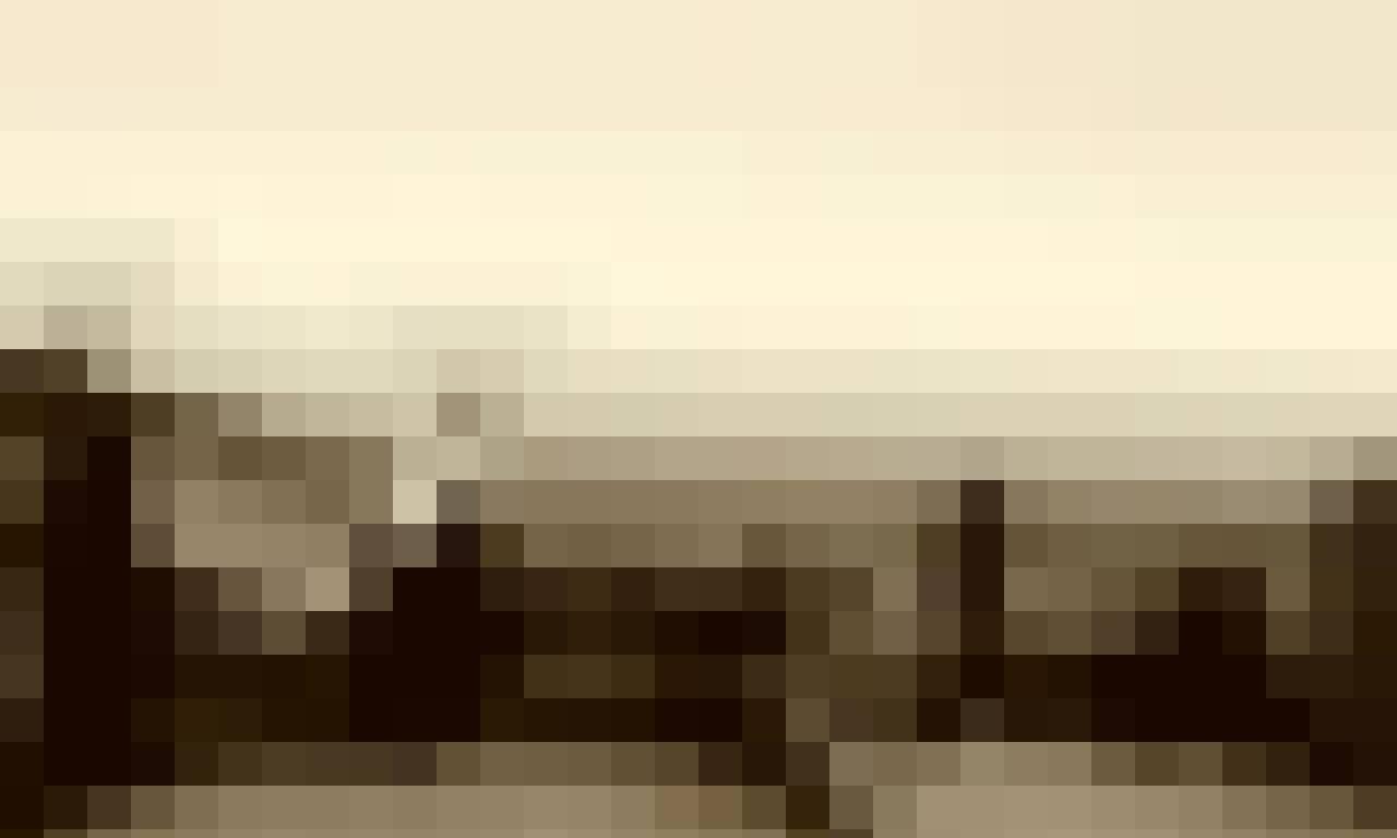 Tomasz, Male, 42, Rotherham, Wielka Brytania, Photo: 6