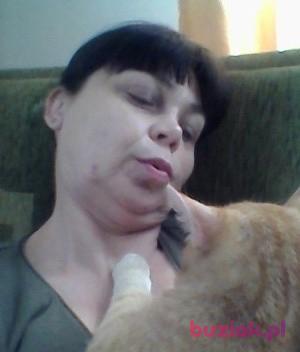 anna, Kobieta, 60, Proszowice, Polska, Zdjęcie: 1