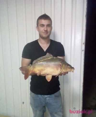 Hubert , Mężczyzna, 35, Lublin, Polska, Zdjęcie: 3