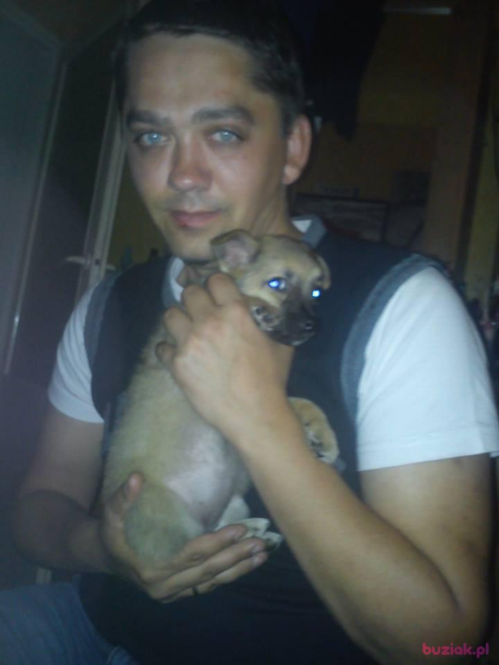 robert, Male, 43, Siedlce, Polska, Photo: 2