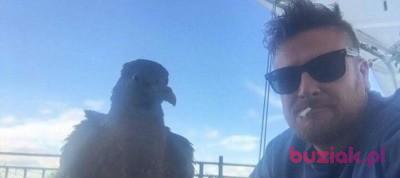 Geraint, Mężczyzna, 50, Gwersyllt, Wielka Brytania, Zdjęcie: 3