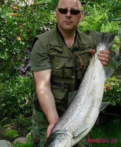 Miłosław,, Male, 63, Białogard, Polska, Photo: 2