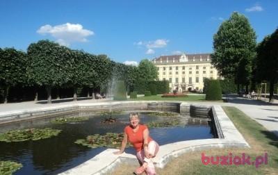 Teresa, Kobieta, 70, Kraków, Polska, Zdjęcie: 3