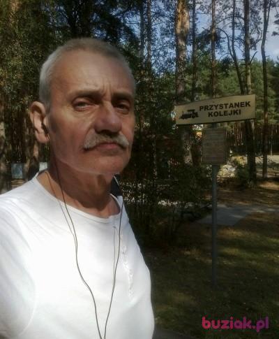 Grzegorz, Male, 73, Bydgoszcz, Polska, Photo: 2