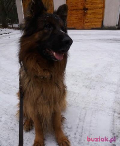 Andrzej, Mężczyzna, 57, Legionowo, Polska, Zdjęcie: 9