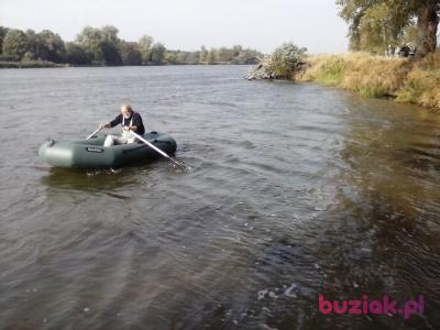 Andrzej, Mężczyzna, 68, Wrocław, Polska, Zdjęcie: 9