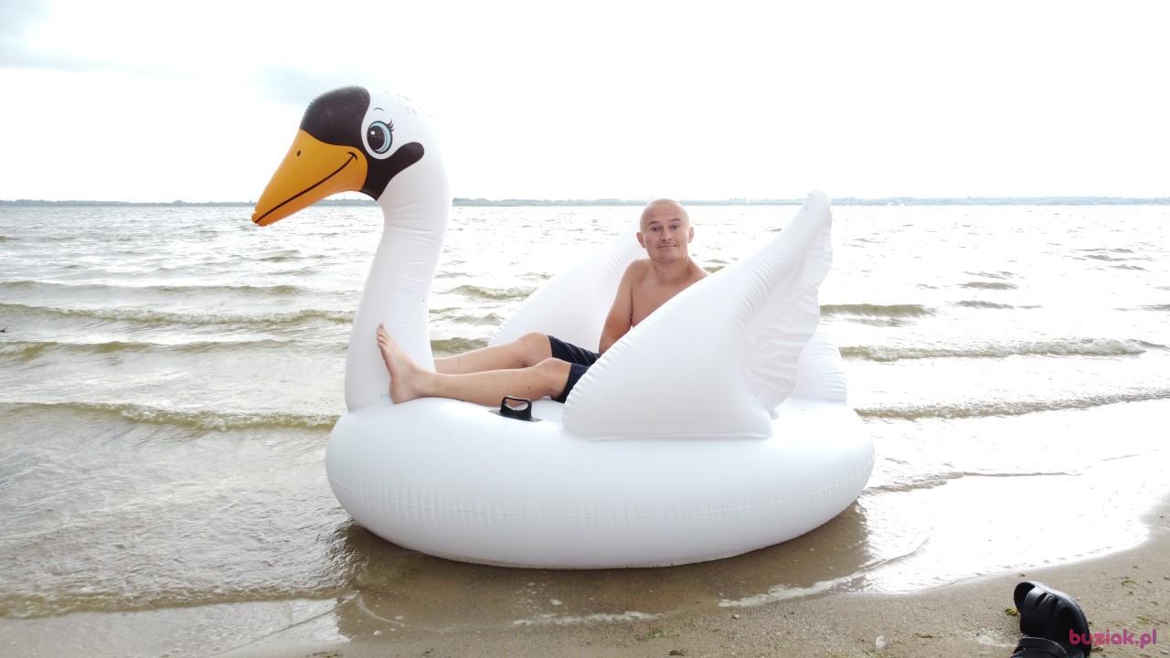 Michał, Mężczyzna, 37, Zgierz, Polska, Zdjęcie: 536