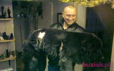 Michał, Mężczyzna, 38, Polska, Zdjęcie: 4