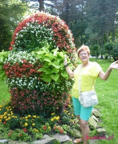 HENIA, Kobieta, 72, Wodzisław Śląski, Polska, Zdjęcie: 11