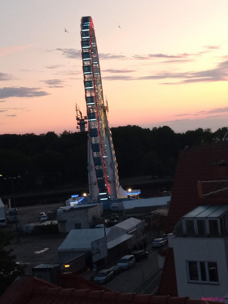 Gosia, Kobieta, 63, Poznań, Polska, Zdjęcie: 3