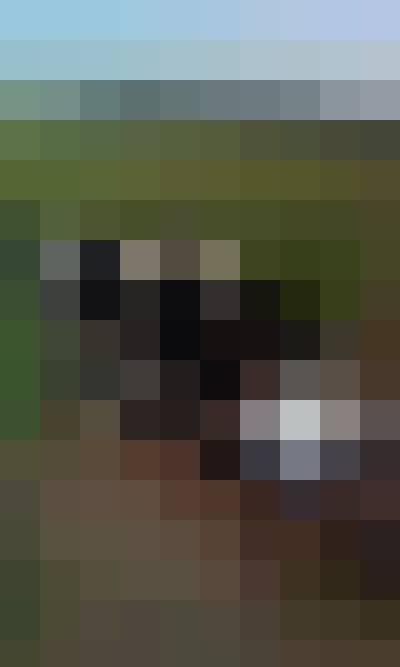 andrzej, Male, 55, Suwałki, Polska, Photo: 2