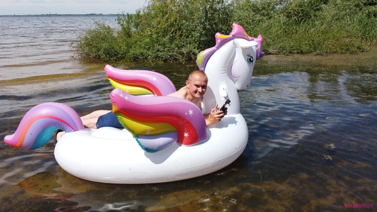 Michał, Mężczyzna, 37, Zgierz, Polska, Zdjęcie: 391