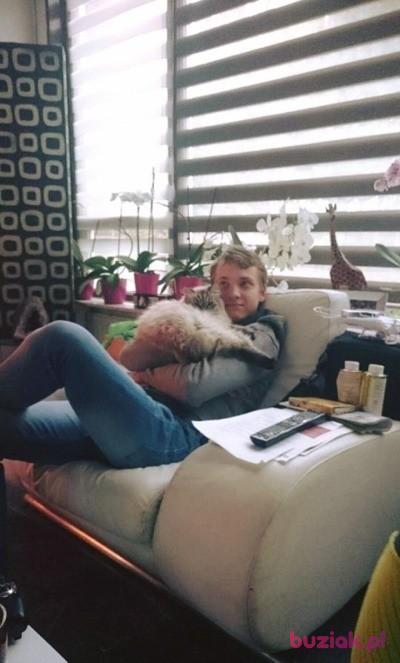Adrian, Male, 33, Oss, Holandia, Photo: 2