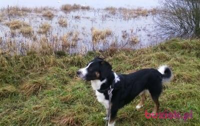 wioletta5, Female, 56, Niemcy, Photo: 4