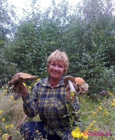 Bajka, Female, 72, Tychy, Polska, Photo: 2
