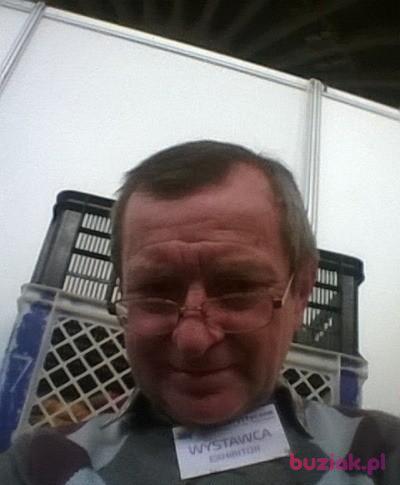 Henryk, Male, 70, Legnica, Polska, Photo: 2