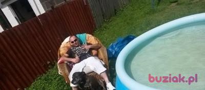Blazej, Male, 39, Wielka Brytania, Photo: 2