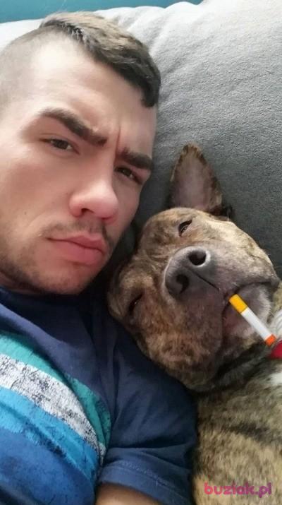 Kamil, Mężczyzna, 33, Zabrze, Polska, Zdjęcie: 3