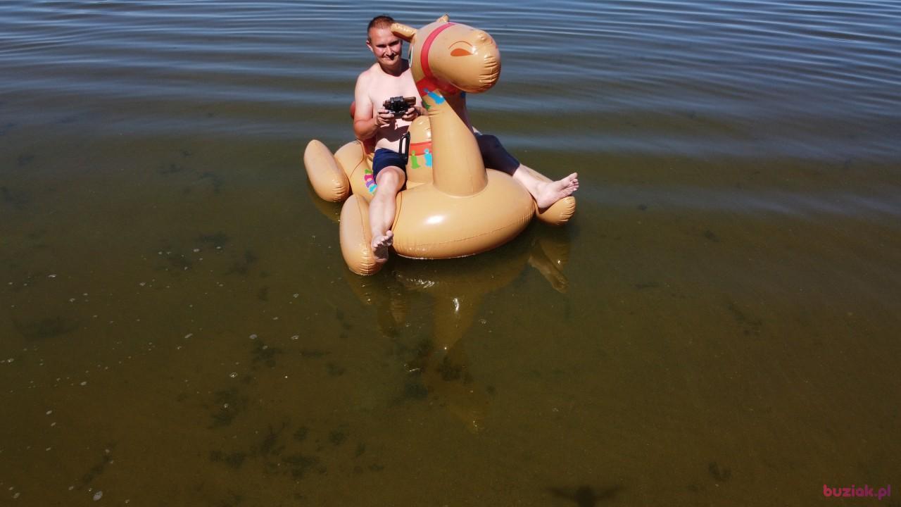 Michał, Mężczyzna, 37, Zgierz, Polska, Zdjęcie: 475