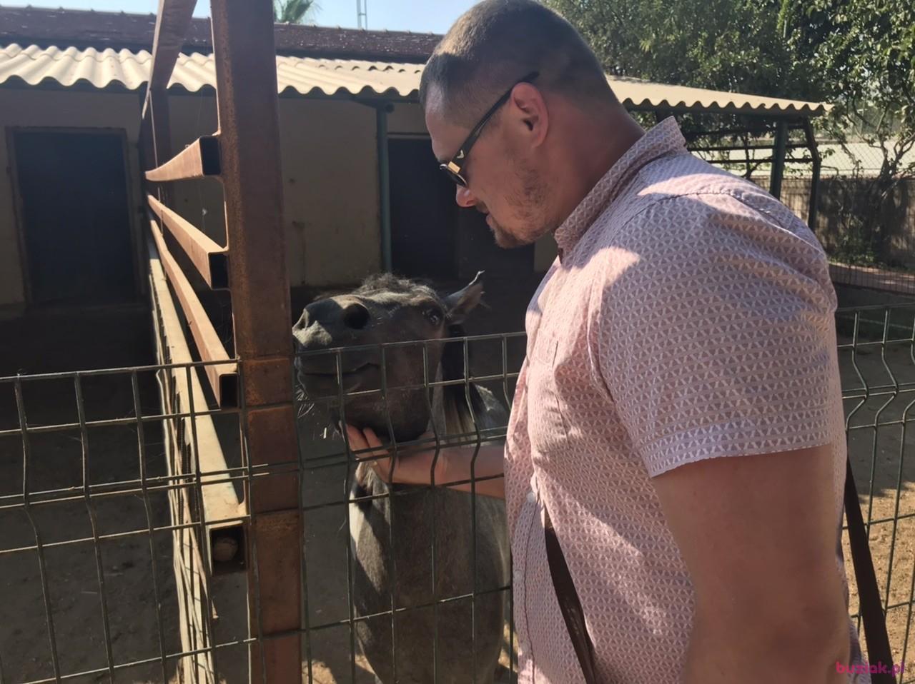 Hulk, Male, 40, Zawiercie, Polska, Photo: 4